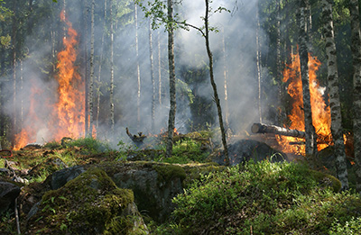 Water for Forest Fires