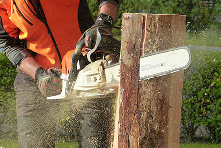 Getting your trees ready for winter